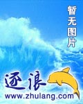 通灵王之道炎